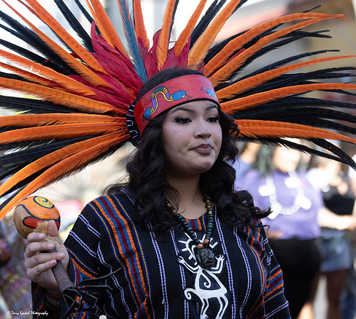 Azteca Blessing 19 (Terry Scussel)