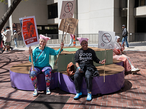 SF Peoples March 43 (Terry Scussel) copy