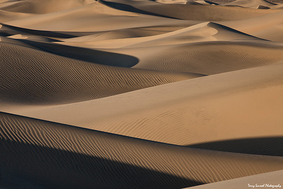 Dune 16