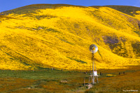Carrizo 4