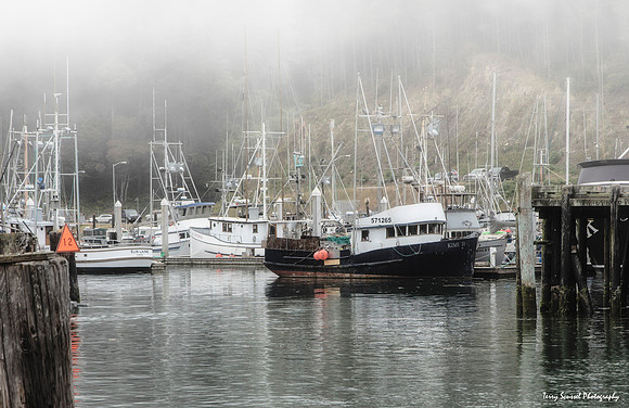 Day 59 - Fog on the Fishing Fleet, Noyo Harbor