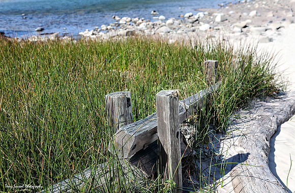 Pheiffer Beach Split Rail - Color