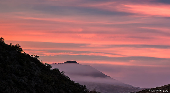 Mt Tam Pastel